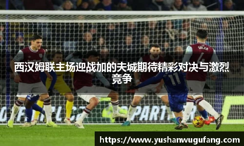 西汉姆联主场迎战加的夫城期待精彩对决与激烈竞争